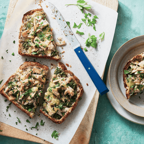 'CSIRO Low-Carb Diabetes Every Day' cookbook: Cheesy Tuna and Pesto Toastie recipe picture. 'CSIRO Low-Carb Diabetes Every Day' cookbook: Cheesy Tuna and Pesto Toastie recipe picture.