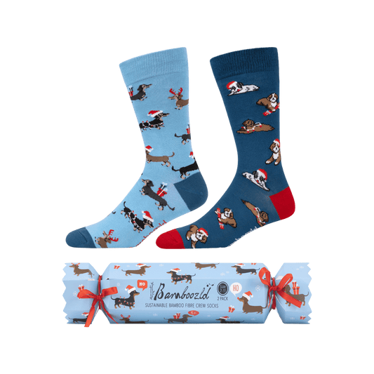 Bamboozld Men's Dashing Boy Cracker 2pk