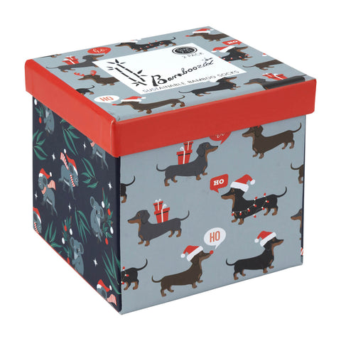 Mens dashing koala 2pk gift box