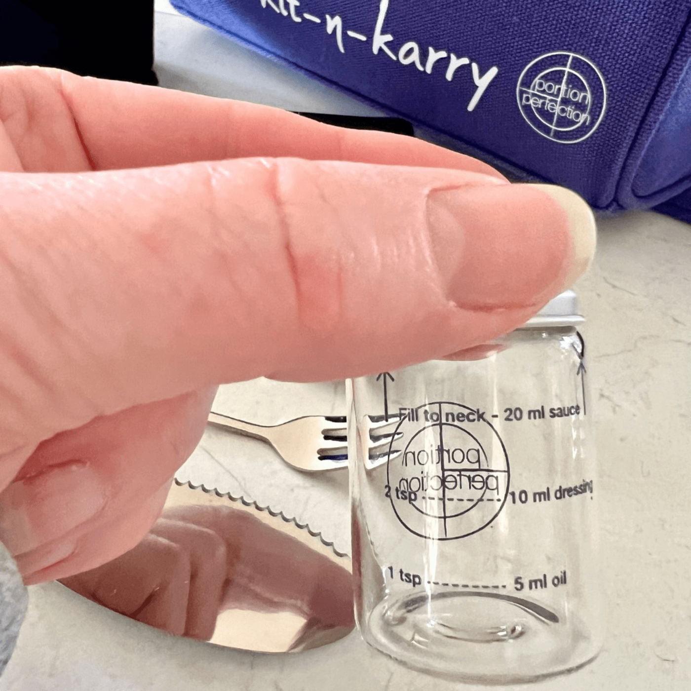 Great Ideas in Nutrition Portion Perfection Kit-n-Karry Lunch Bag